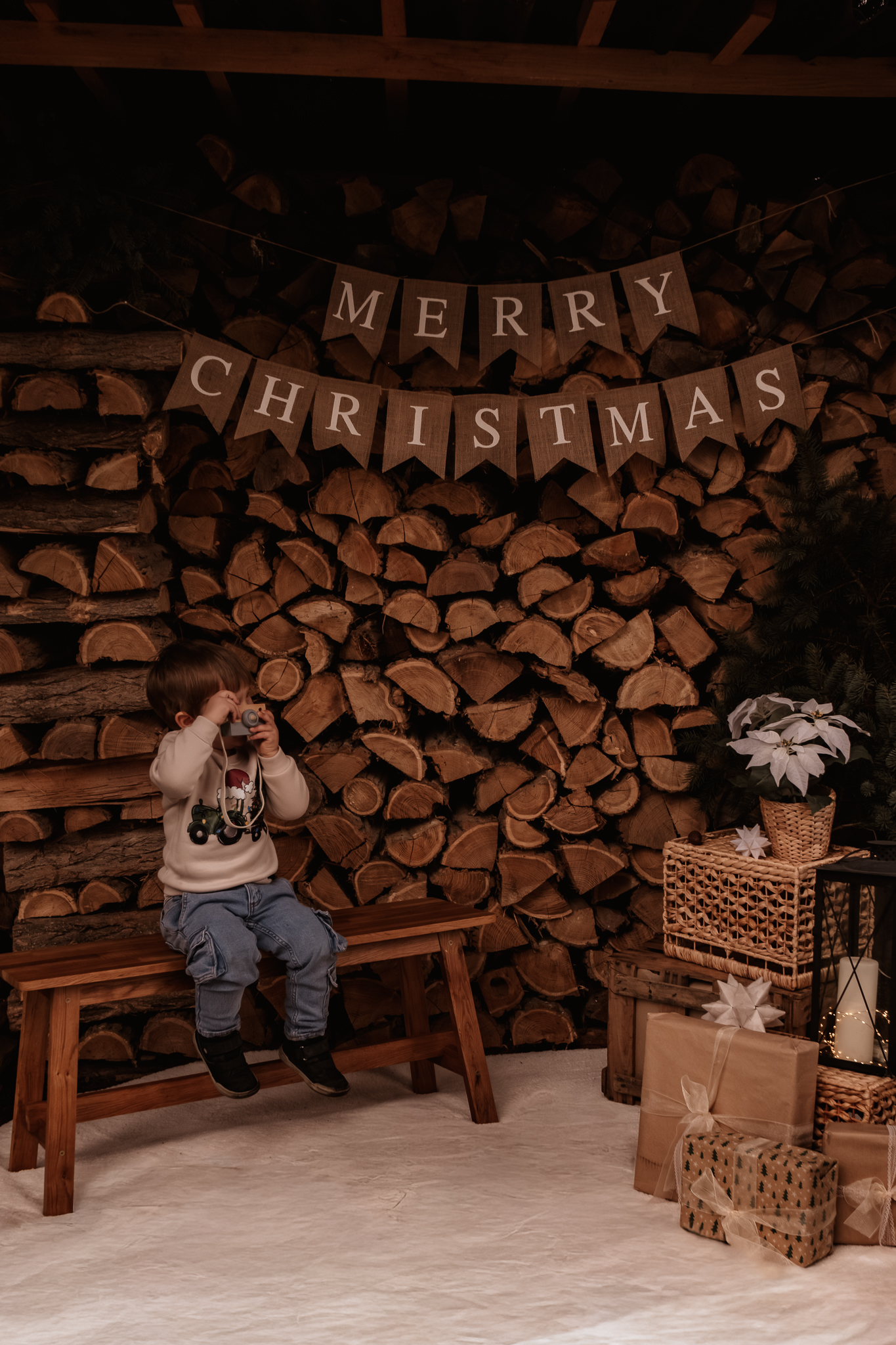 Wunderschönes wildes Familien Weihanchtsminishooting